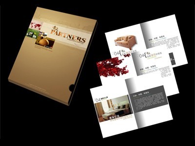 創(chuàng)新圖文藝術(shù) 專業(yè)燃?xì)忮仩t宣傳畫冊(cè)與說明書設(shè)計(jì)制作服務(wù)